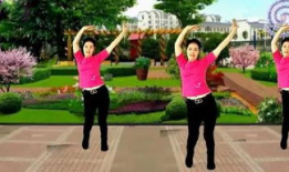 广场舞视频大全,视频大全精彩回顾